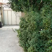 خوابگاه-دخترانه-سینما-سعدی