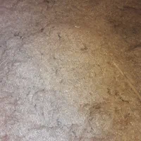 کاه فروش فله