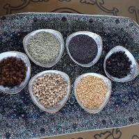 فروش محصولات ارگانیک