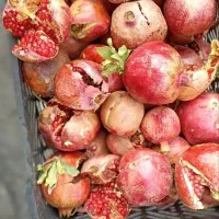 انار شکسته خطی ربی و آبگیری آبدار انار