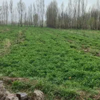 ویلاباغ خانه