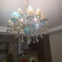 2 عدد لستر 20 شاخه
