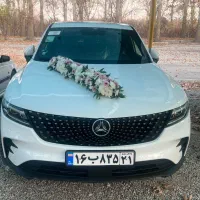 ماشین عروس شاسی با گل ارایی فقط ۴تومن