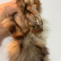 پوست سمور|صنایع دستی و سایر لوازم تزئینی|رشت, گلباغ نماز|دیوار