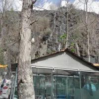 جهت تکمیل پرسنل کار در کافه