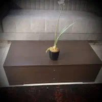 میز.جلو مبلی . عسلی.|مبلمان خانگی و میز عسلی|مشهد, کوشش|دیوار