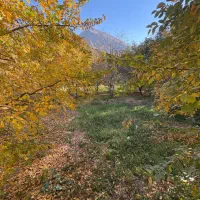 زمین کنار رودخانه مناسب ساخت ویلا|فروش زمین و ملک کلنگی|آسارا, |دیوار