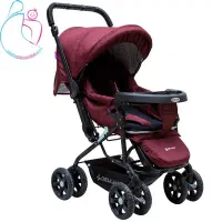 کالسکه دلیجان