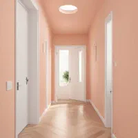 نقاشی ساختمان تخصصی نقاش ساختمان فوری کل مشهد|خدمات پیشه و مهارت|مشهد, سرافرازان|دیوار