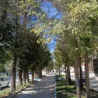 واحد اجاره رجایی
