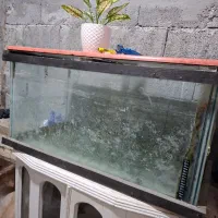 آکواریوم بزرگ