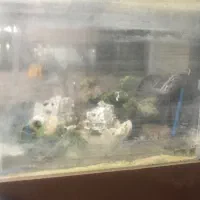 اکواریم با لوازم به ابعاد ۶۰۸۰۹۰|ماهی|تهران, حشمتیه|دیوار