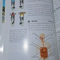 کتاب دایرة المعاف کودکان و نوجوانان|کتاب و مجله آموزشی|اصفهان, محله سفلی|دیوار
