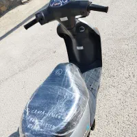 فروش فوری موتور پاکشتی رنگ فابریک|موتورسیکلت|لامرد, |دیوار