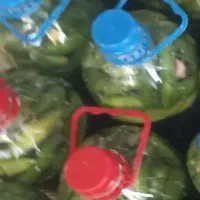 خیار شور
