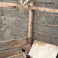 فروش انواع پرنده زینتی|پرنده|سنگر, |دیوار