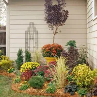 طراحی و محوطه سازی فضای سبز و هرس درختان و گل کاری|خدمات باغبانی و درختکاری|تهران, شهرک غرب|دیوار