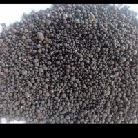 کودسیاه مخصوص زیر کشت گندم .چغندر .ذرت.شلتوک|خدمات باغبانی و درختکاری|شوشتر, |دیوار