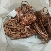 مس ذوبی