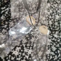 بدلیجات|بدلیجات|تربت جام, شاهد|دیوار