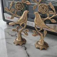 یه جفت گنجیشک برنجی