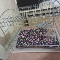 ابچکان