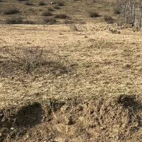 فروش زمین در روستای ارات بن سوادکوه|فروش زمین و ملک کلنگی|آلاشت, |دیوار