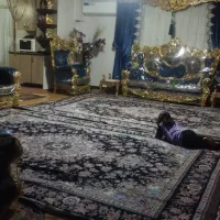 آپارتمان اجاره ای ۱۱۰متری ،۲خوابه(توافقی)|اجارهٔ آپارتمان|قرچک, شهرک گلها|دیوار