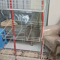 استند مغازه