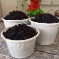 تمشک تازه