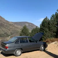 دوو سیلو ۸۲