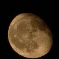 نیرو جهت کار در کافی نت