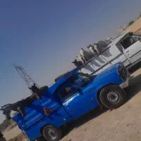 خرید وفروش اسب مادیون  پالونی وجنس دار|اسب و تجهیزات اسبسواری|جونقان, |دیوار