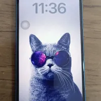 اپل iPhone 13 با حافظهٔ ۱۲۸ گیگابایت|موبایل|مرودشت, ابوذر شمالی‎|دیوار