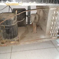 شیرسردکن 250 لیتر
