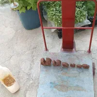 باسکول ۲۰۰کیلویی|ابزارآلات|کرمانشاه, |دیوار