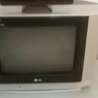 تلوزیون