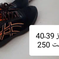 تعدادی کفش زنانه|کیف، کفش، کمربند|کرمانشاه, |دیوار