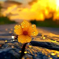 عکاسی وفیلمبرداری