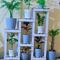 حراج استند گل