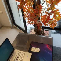 استخدام منشی
