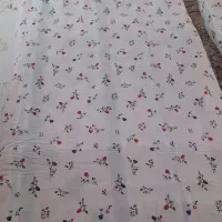 دوعدد تشک نو