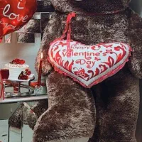 خرس ولنتاین خارجی