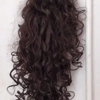 کلاه گیس