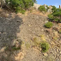 زمین فروشی در روستای خوش آب و هوای زشک|فروش زمین و ملک کلنگی|شاندیز, |دیوار