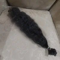 موی طبیعی شاخه شده