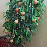 گلدان