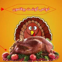 بوقلمون گوشتی بیوتی|حیوانات مزرعه|قوچان, |دیوار