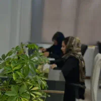 تولید محتوا و ادمینی حرفه ای پیج