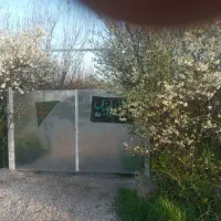 اجاره ویلا تو باغ